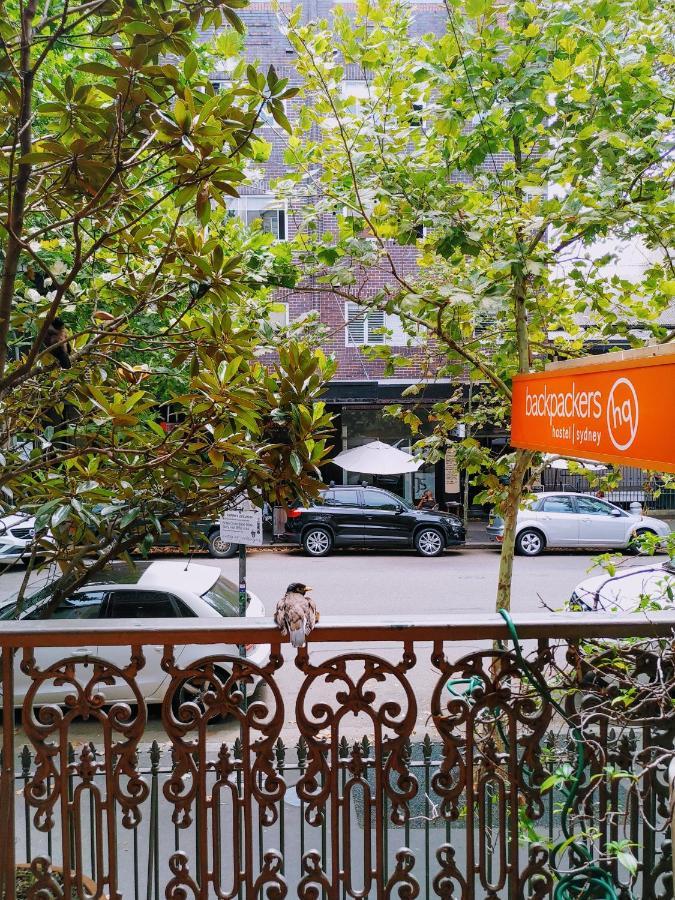 London Plane Backpackers Hostel Sydney Exterior photo